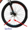 bike spokes attached